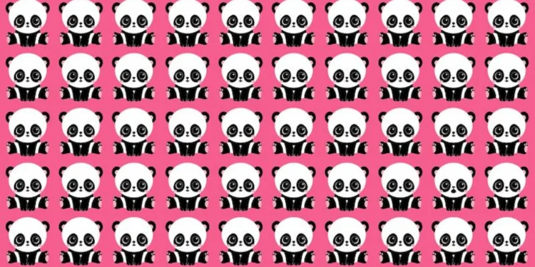 Desafio visual com pandas em fundo rosa: encontre o panda diferente em 10 segundos.