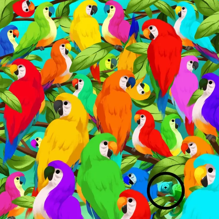 Resposta do Desafio: Camaleão Camuflado Entre os Papagaios Resposta do desafio visual: Camaleão encontrado entre os papagaios coloridos.