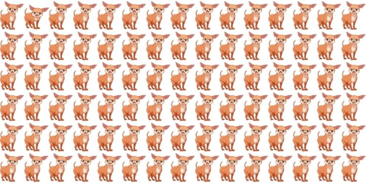 Teste visual com diversos cachorrinhos marrons enfileirados, um com expressão diferente dos demais