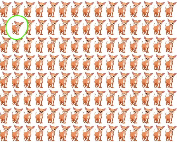 lustração de vários cachorrinhos para desafio visual encontre o cachorrinho diferente Teste visual com diversos cachorrinhos marrons enfileirados, um com expressão diferente dos demais