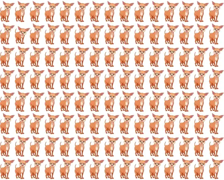 Consegue achar o cachorrinho diferente? Teste visual com diversos cachorrinhos marrons enfileirados, um com expressão diferente dos demais