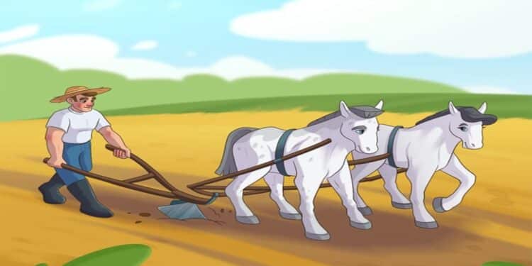 Desafio visual com um homem conduzindo dois cavalos atrelados a um arado sobre solo seco, sob céu azul