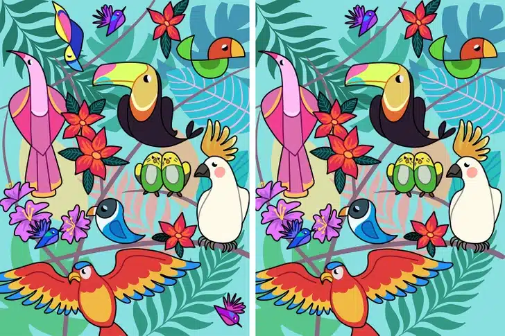 Observe atentamente: você consegue encontrar as diferenças entre as aves destas imagens? Teste Visual: Diversas aves com penas coloridas lado a lado em cenário tropical ilustrado, folhas e flores ao fundo
