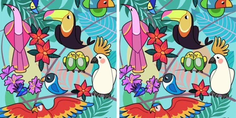 Teste Visual: Diversas aves com penas coloridas lado a lado em cenário tropical ilustrado, folhas e flores ao fundo