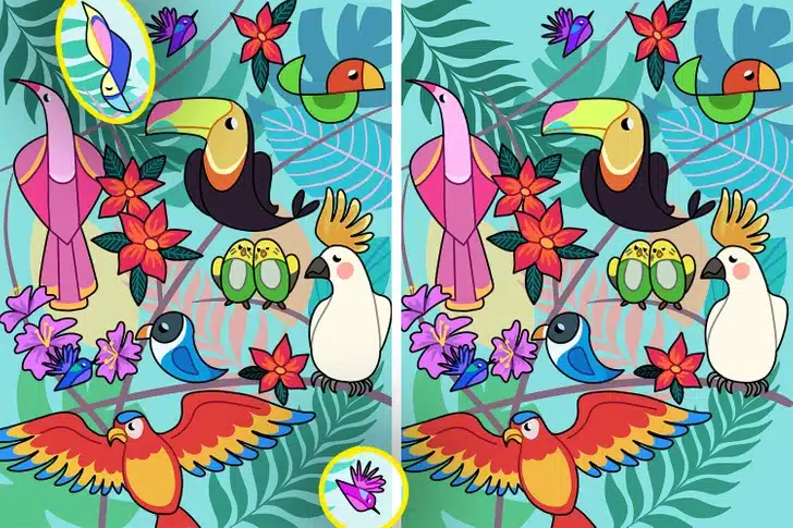 Aves tropicais coloridas em teste visual de diferenças Teste Visual: Diversas aves com penas coloridas lado a lado em cenário tropical ilustrado, folhas e flores ao fundo