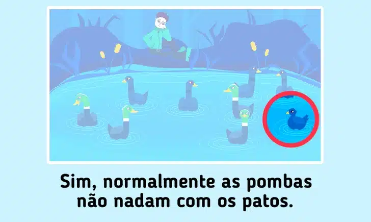 Teste visual com uma pessoa sentada observa sete patos nadando em lago azul com detalhes de vegetação