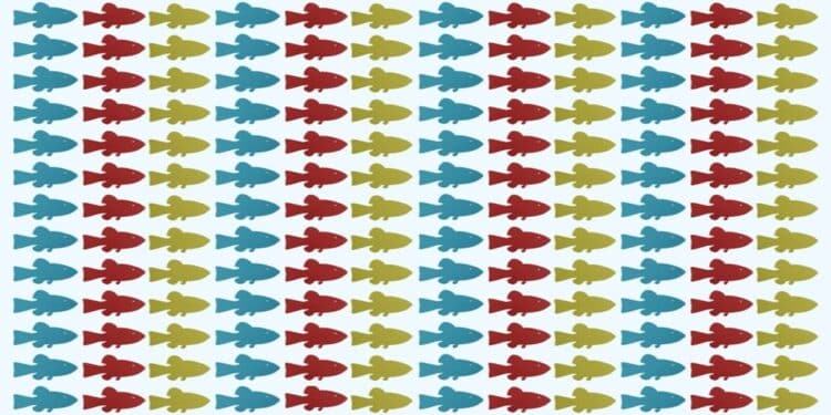 Peixes coloridos em azul, vermelho e verde-oliva organizados em linhas horizontais, com um nadando na direção oposta