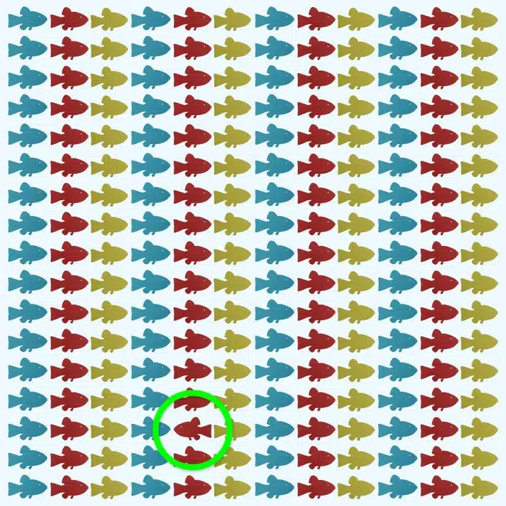 Teste de atenção com peixes coloridos em azul, vermelho e verde-oliva organizados em linhas horizontais, com um nadando na direção oposta