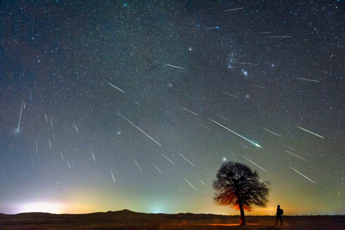 Vários meteoros riscando o céu estrelado durante a madrugada com silhueta de árvore e pessoa observando ao longe.
