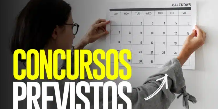 Mulher consultando calendário — concursos Sefaz previstos 2026