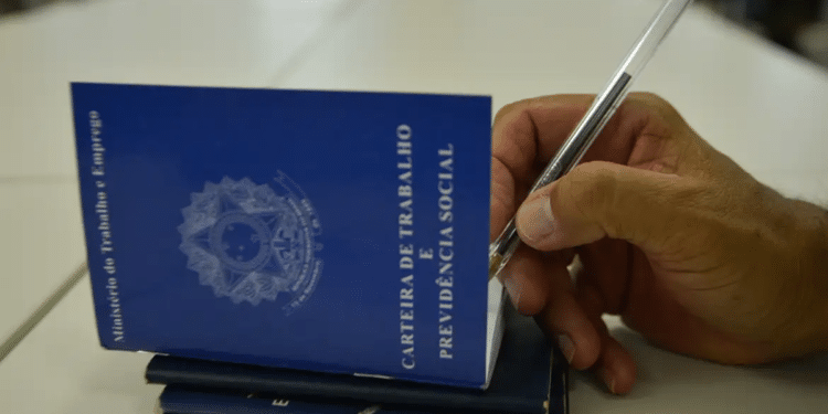 Cargos CLT maiores salários - mão segurando caneta sobre Carteira de Trabalho e Previdência Social azul