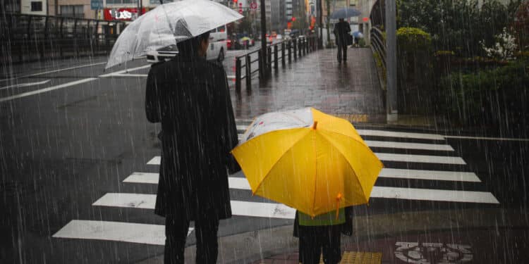 Adulto e criança com guarda-chuvas aguardam para atravessar uma rua sob forte chuva em ambiente urbano, representando os efeitos climáticos do El Niño.