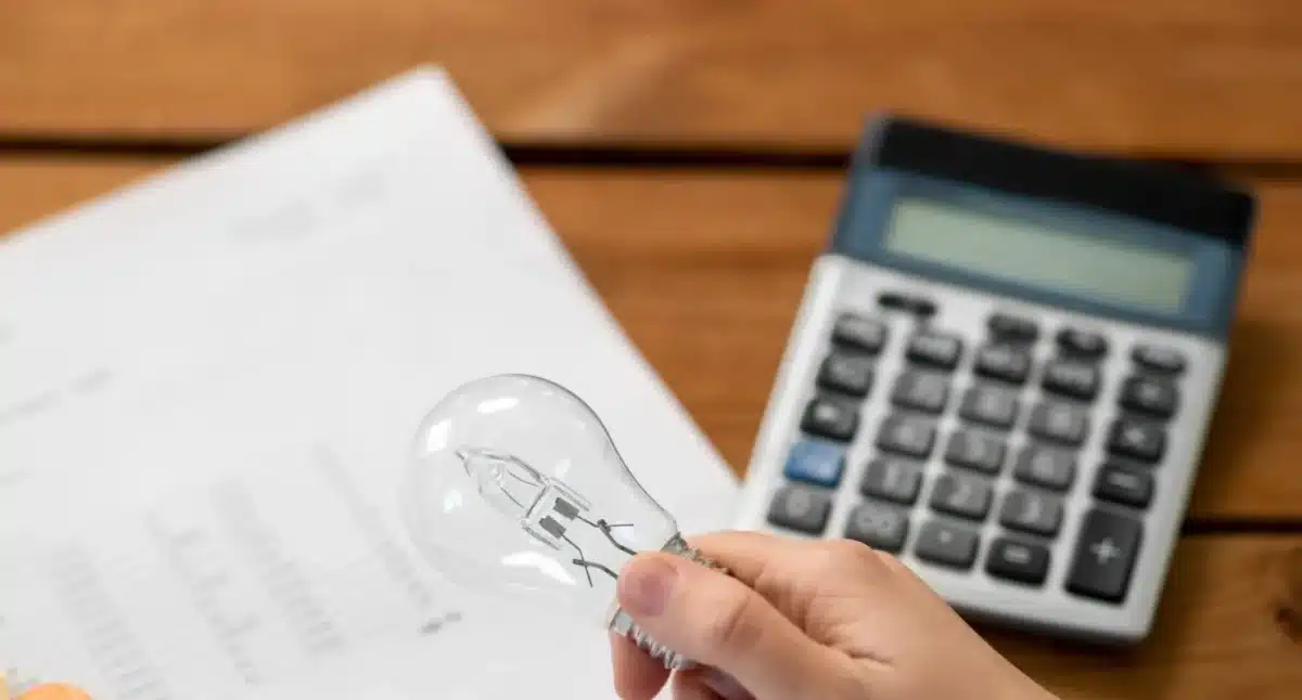 Uma lâmpada e uma calculadora, representando o foco do programa Luz do Povo em fornecer informações sobre a conta de energia elétrica.