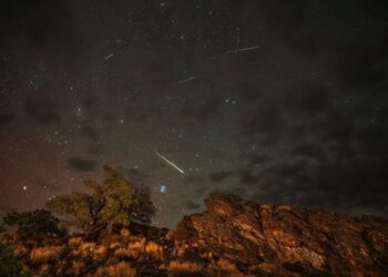 Chuva de meteoros Líridas iluminando o céu estrelado durante a madrugada em área de natureza com rochas e árvores.