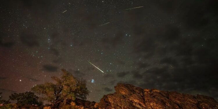 Chuva de meteoros Líridas iluminando o céu estrelado durante a madrugada em área de natureza com rochas e árvores.