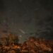 Chuva de meteoros Líridas iluminando o céu estrelado durante a madrugada em área de natureza com rochas e árvores.