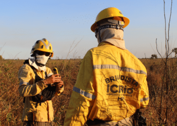 Dois brigadistas fardados com capacetes amarelos e uniformes de combate a incêndios florestais durante treinamento em área de vegetação seca