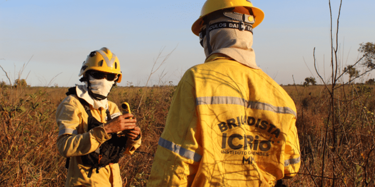 Dois brigadistas fardados com capacetes amarelos e uniformes de combate a incêndios florestais durante treinamento em área de vegetação seca