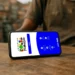 Celular sobre mesa de madeira exibindo tela inicial do aplicativo Bolsa Família com ícones de serviços