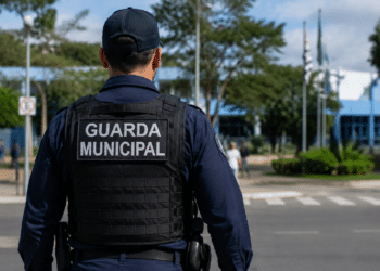 Guarda Municipal de costas com colete tático preto e uniforme azul-marinho vigia área verde com bandeiras.