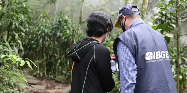Dois servidores do IBGE com colete e boné institucionais em trabalho de campo dentro de área de mata
