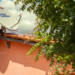 Técnico instala antena parabólica digital Brasil Antenado no telhado de casa residencial