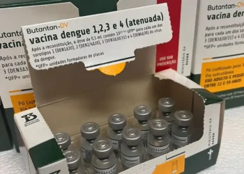 Caixa com frascos da vacina contra dengue do Butantan, destinada ao armazenamento e distribuição pelos municípios.