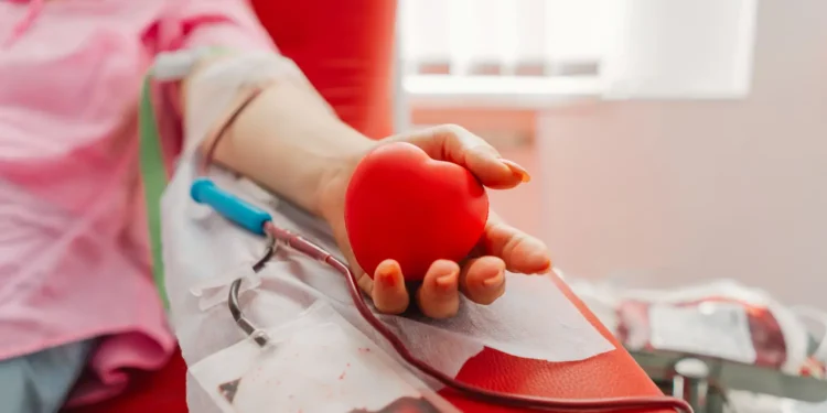 Pessoa realizando doação de sangue com bolsa coletora durante procedimento em banco de sangue.