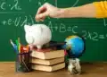 Cofrinho, livros e materiais escolares representam a inclusão da educação financeira nas salas de aula brasileiras.