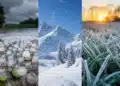 Imagem comparativa mostra granizo, neve e geada em diferentes condições climáticas de frio.