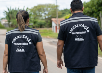 Fiscais agropecuários da ADEAL caminham por estrada durante atividade de fiscalização em Alagoas.