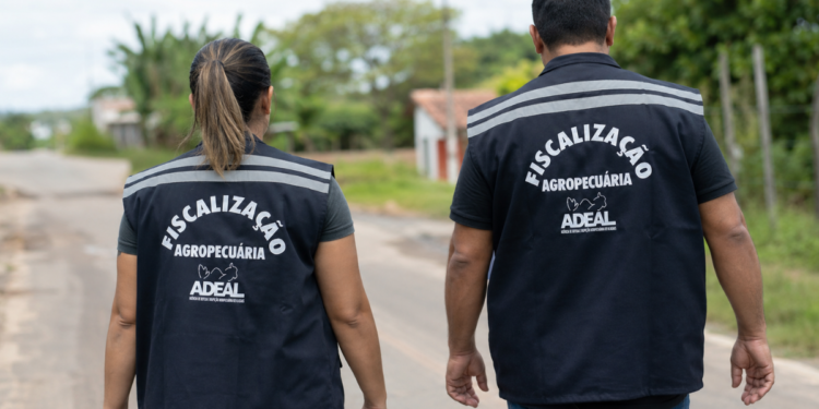 Fiscais agropecuários da ADEAL caminham por estrada durante atividade de fiscalização em Alagoas.