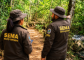 Servidores da Sema MT em área ambiental representam concurso para analistas em 2026.