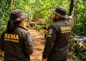 Servidores da Sema MT em área ambiental representam concurso para analistas em 2026.