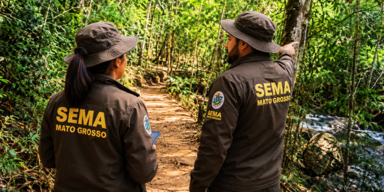 Servidores da Sema MT em área ambiental representam concurso para analistas em 2026.