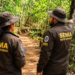 Servidores da Sema MT em área ambiental representam concurso para analistas em 2026.